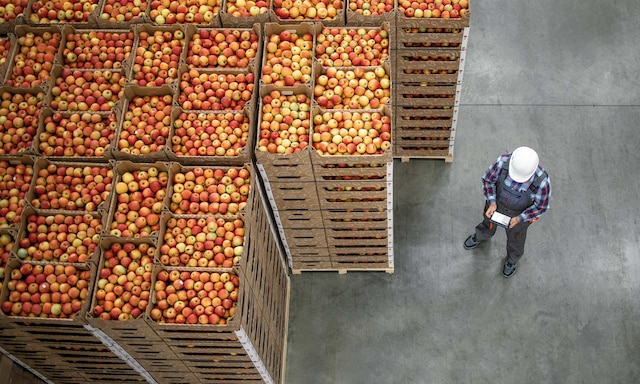 Megafin (3PL) digitalises one of Colombia’s largest warehouses with Easy WMS
